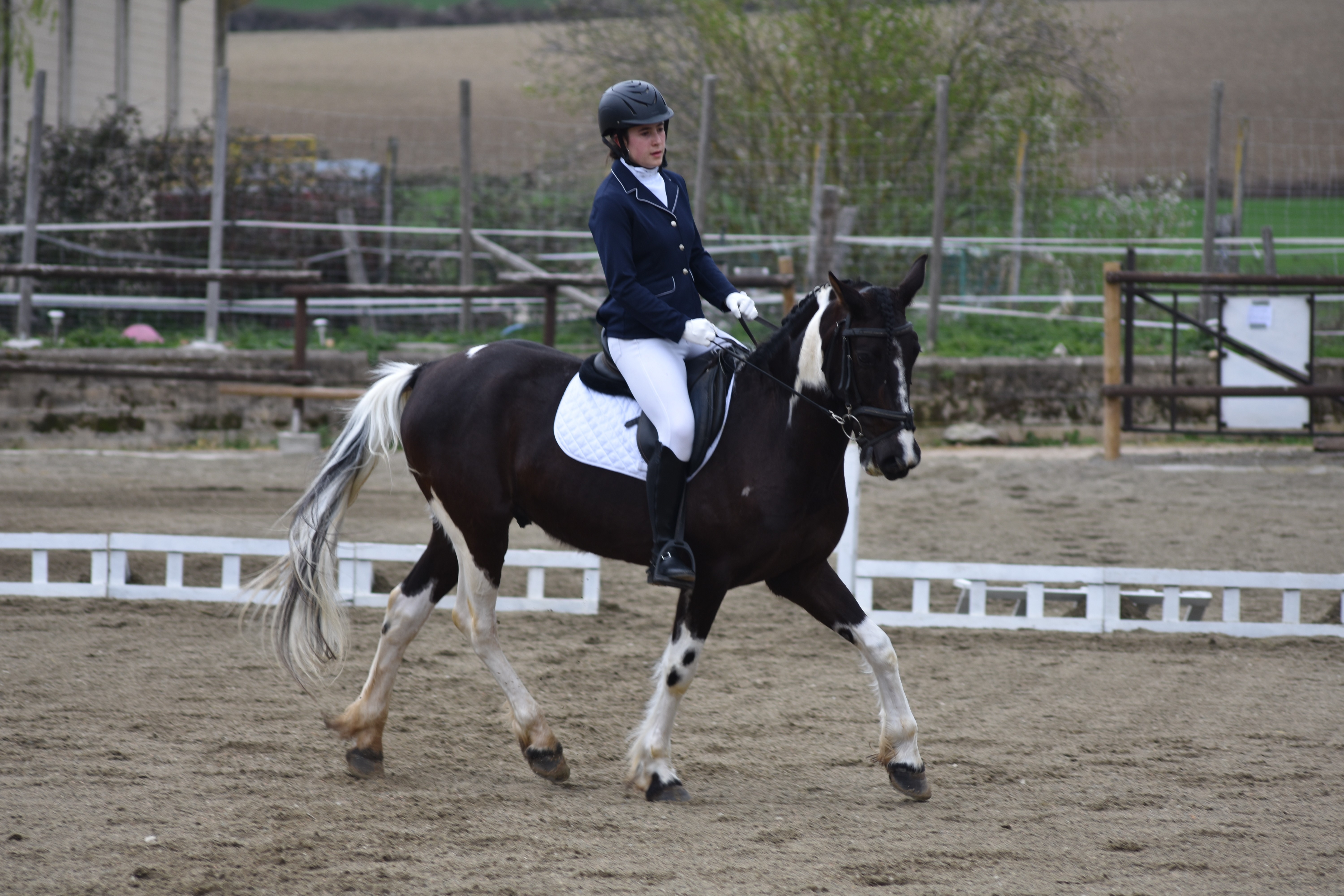 Campeonato Navarro Doma Clasica y JDN 2022 1&ordf; Fase